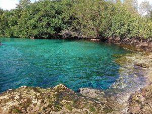 cenote